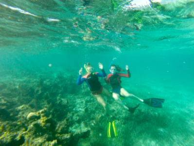 365足彩外围 students snorkeling on coral reef